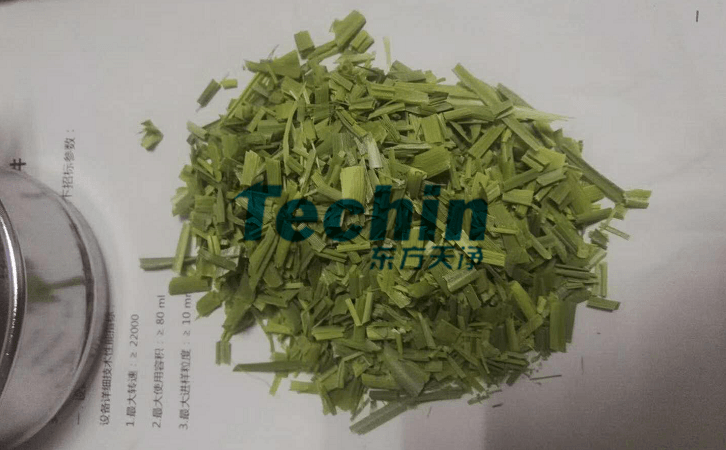 水稻葉子丝瓜污视频入口前