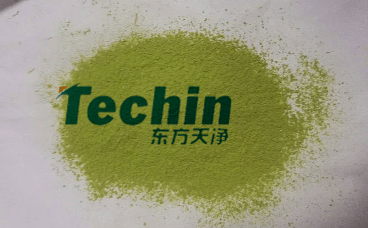 丝瓜污视频入口後的植物葉片