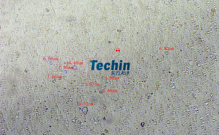 二氧化矽丝瓜污视频入口後顯微鏡圖
